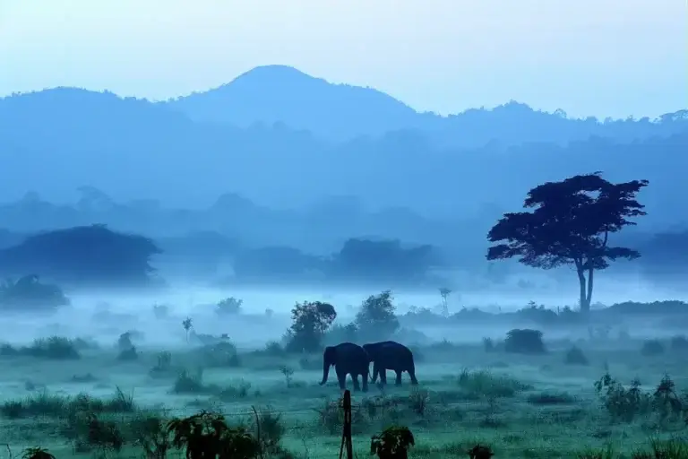 5deb8ceeda4d4a0ea53083cf68e7be32dc724818